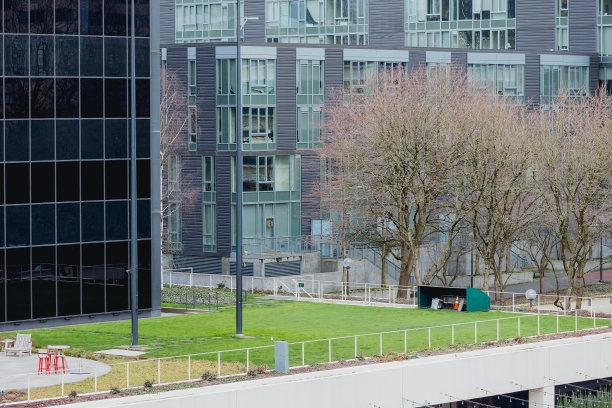 波特兰市中心的绿色办公楼图片下载