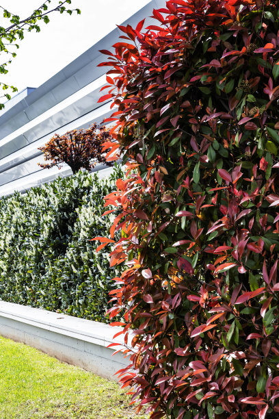 被花园包围的购物中心图片下载