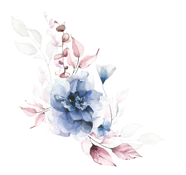 绿色植物安排水彩画。气味:蓝色玫瑰，粉红色和酒红色的叶子，桉树枝条。图片下载