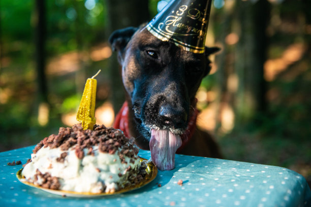 在他生日那天图片下载