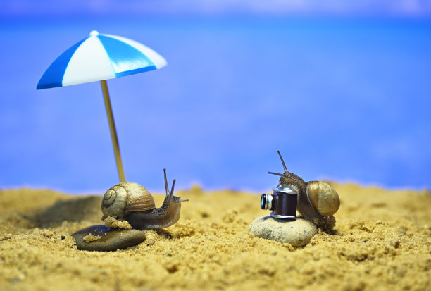 海滩上的蜗牛。在海边拍照。以度假为主题的概念性宏观照片图片下载