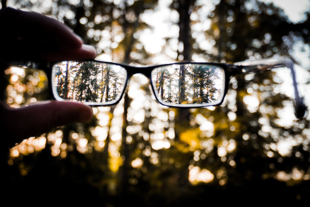 手持眼镜对着树的特写图片下载