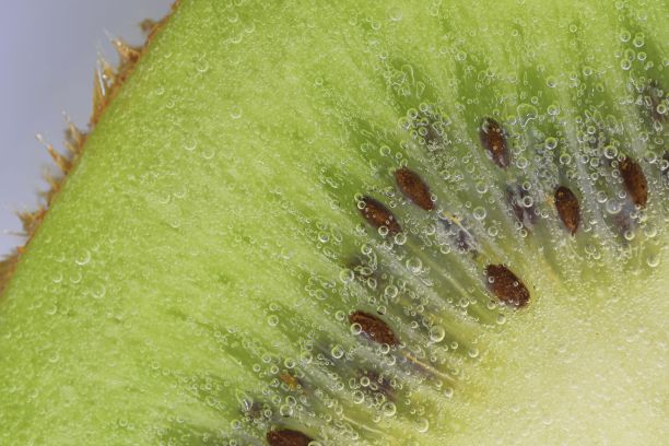 把成熟的猕猴桃片泡在水里。猕猴桃在有气泡的液体中的特写。切片熟猕猴桃泡在气泡水中。碳酸水中水果的微距图像。图片下载