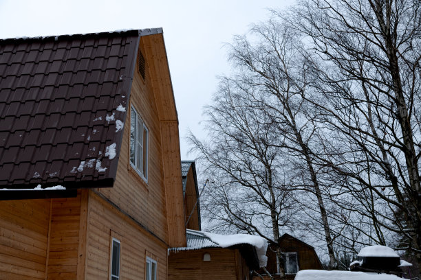 村子里的木屋图片下载