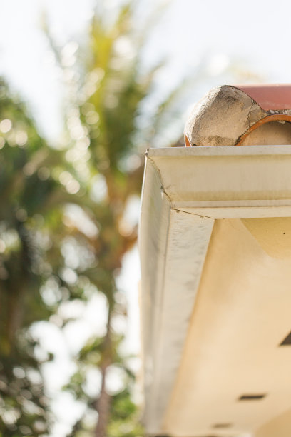 2023年春天，南佛罗里达住宅后院肮脏的白色金属排水沟，周围是热带植物和棕榈树图片下载