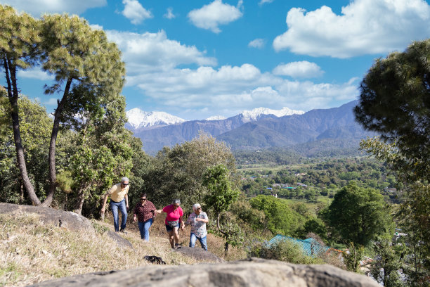 老年人在山上跑步，享受大自然。图片下载
