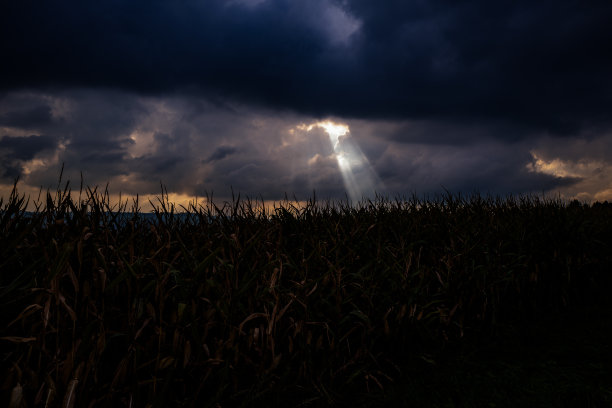 草地上暴风雨云的风景图片下载