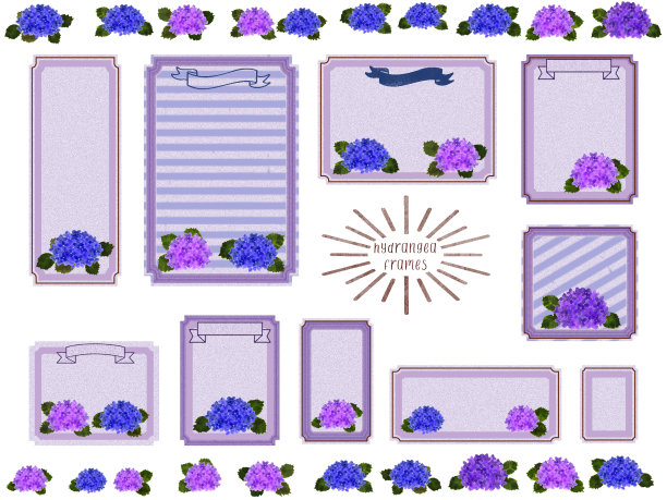 美丽的绣球花!框架和信息卡和标签标签图片下载