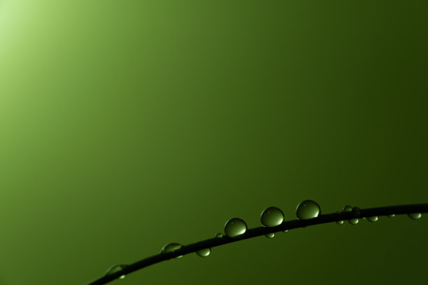 漂亮滴图片下载