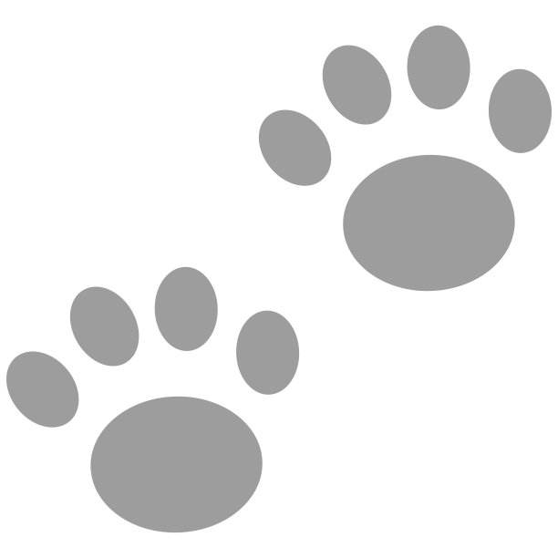 矢量插图与动物的爪子在卡通风格的白色背景图片下载