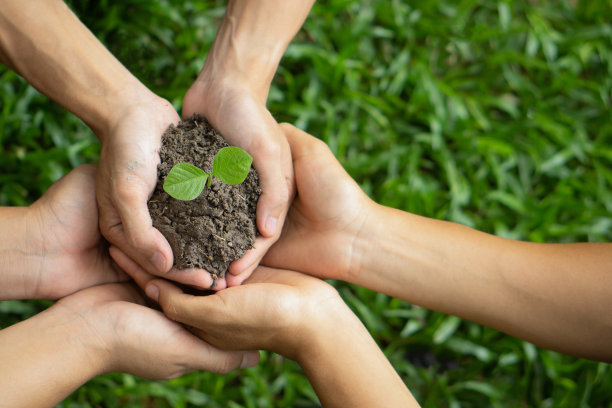 一群男子双手捧着或拔火罐。保护环境，减少全球变暖。全球社区团队合作。志愿慈善工作。图片下载