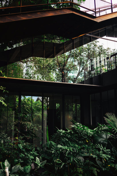 建筑的窗户反射着清新的绿色图片下载