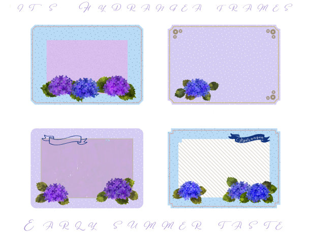 美丽的绣球花!框架和信息卡和标签标签图片下载