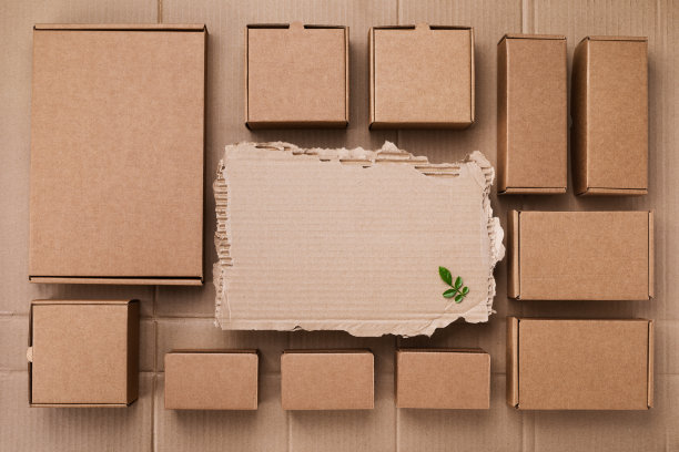 回收纸板箱上的嫩芽绿叶俯视图。生态包装，节能，零废弃物，无塑料理念。图片下载