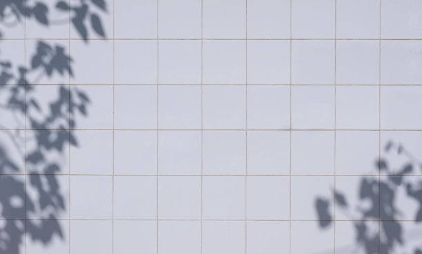 方形白色瓷砖墙背景与阳光和树枝阴影的表面图片下载