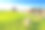 乡村风景——在磨坊的背景上看到一群羊图片下载