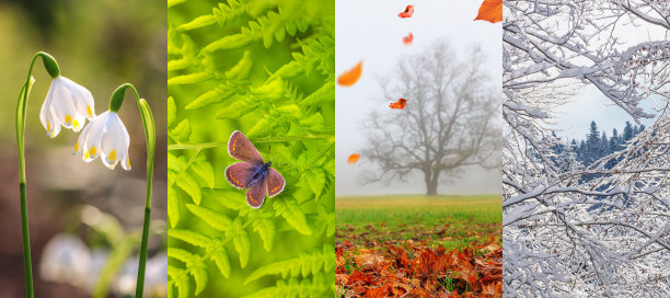 一套美丽的自然照片在冬季，春季，夏季和秋季图片下载