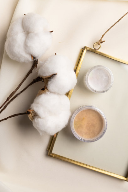 俯视图面部粉末在自然背景与干花。化妆师的美学，为自己和美容院化妆图片下载