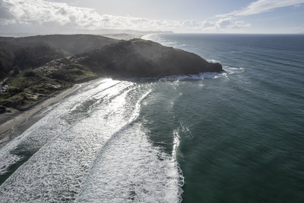 森林海滩，新西兰图片下载