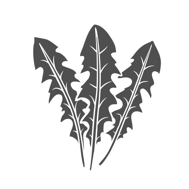 蒲公英叶字形图标图片下载