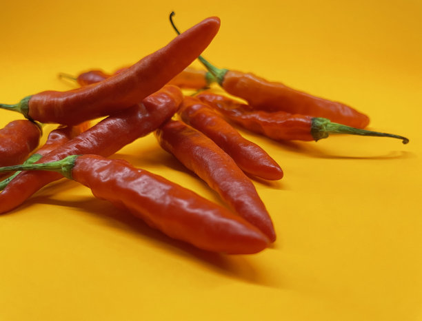 红辣椒图片下载