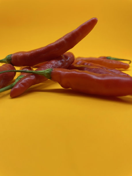 红辣椒图片下载