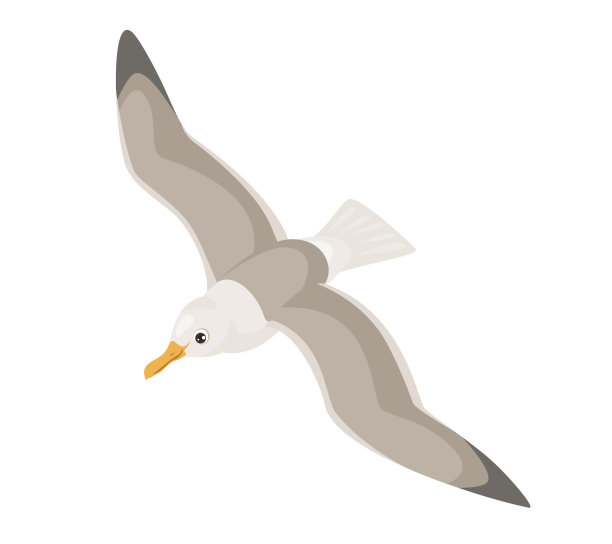 海鸥俯视图。飙升的海鸟。矢量卡通平面插图图片下载
