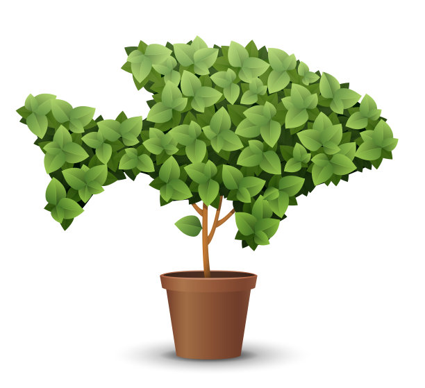 矢量大绿树从花盆中生长。春夏概念图片下载