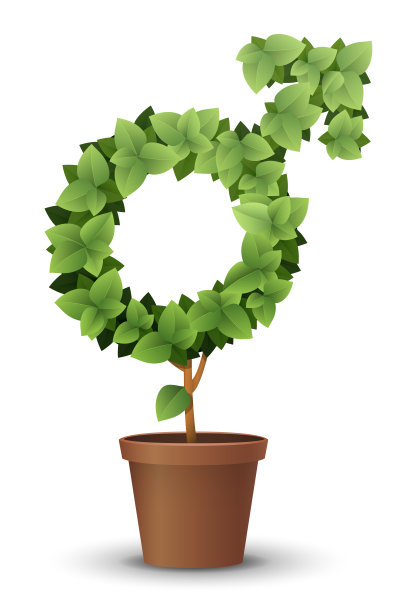 矢量大绿树从花盆中生长。春夏概念图片下载