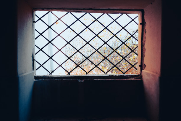废弃建筑窗户上的栅栏。图片下载