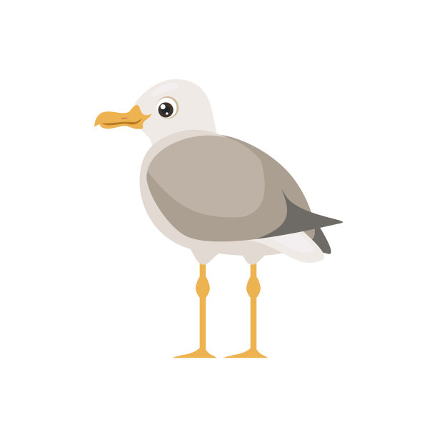 海鸥的背影。矢量卡通平面插图可爱的坐着的海鸟。海鸥的后面。图片下载