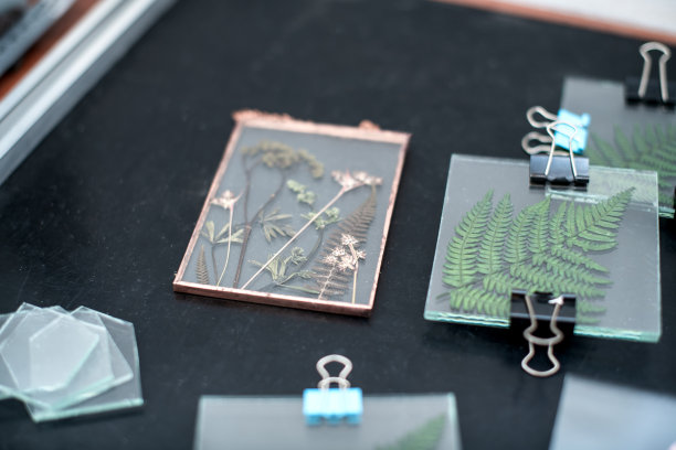 用干植物制作明信片和绘画的工具和材料，玻璃标本室。“零浪费”。手工室内标本馆装饰。生产车间。图片下载