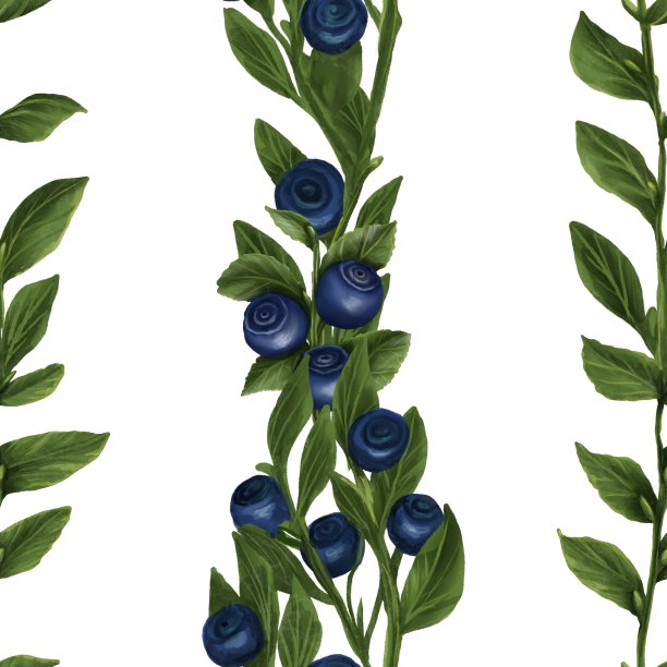 越桔模式图片下载