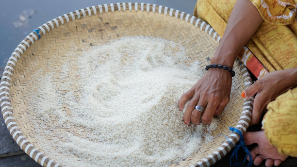 妇女正在家里簸米图片下载