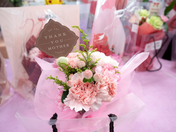 下层安排为母亲节礼物图片下载