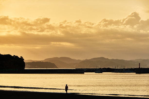 日出时站在沙滩上的人们的剪影图片下载