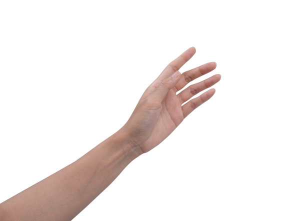 女人的手被隔离在白色的背景上图片下载