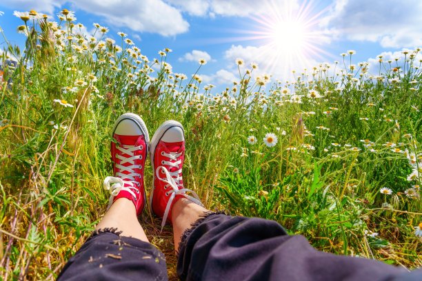 阳光下的红色帆布鞋在雏菊田与蓝天的看法图片下载