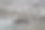 森林里的岩石和河流。自然背景。自然成分。图片下载