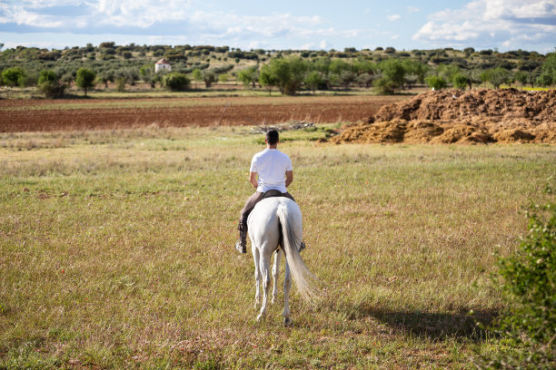 年轻男子骑着白马在草地上的后视图图片下载