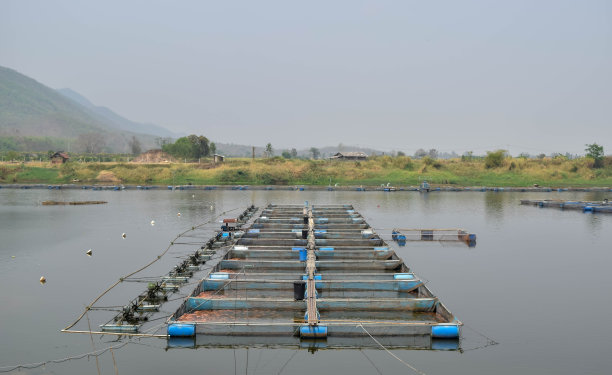 网箱养鱼图片下载