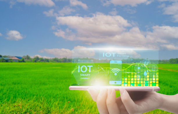 智能农民手持智能手机，稻田生产控制，概念农产品控制技术，以农业未来交易世界市场，跟踪生产力，为农业卫星图片下载