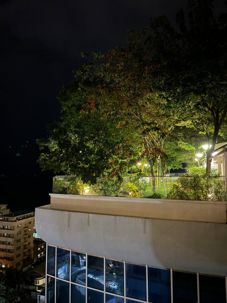 城市的屋顶景观图像，夜间有电力照明设备照亮的屋顶花园，草坪，树木和植物的边界，景观屋顶，重点在前景图片下载