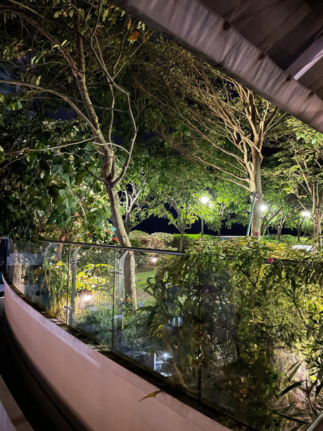 城市屋顶景观的特写图像，夜间有电力照明设备照亮的屋顶花园，草坪，树木和植物边界，景观屋顶，重点在前景图片下载