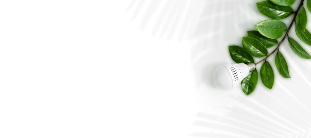 LED灯泡以绿叶为背景，作为绿色能源、节能环保的象征。白色孤立的背景。图片下载