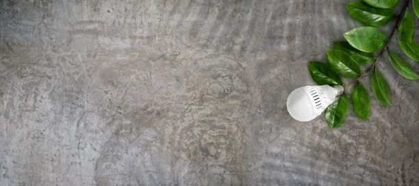 LED灯泡以绿叶为背景，作为绿色能源、节能环保的象征。节能理念。图片下载