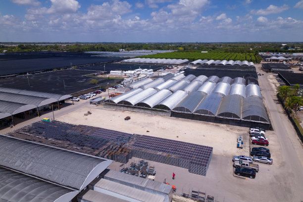 农场的景色。佛罗里达州农业。温室和种植园图片下载