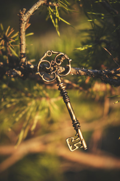 森林中的松枝上悬挂着一把古老的钥匙。图片下载