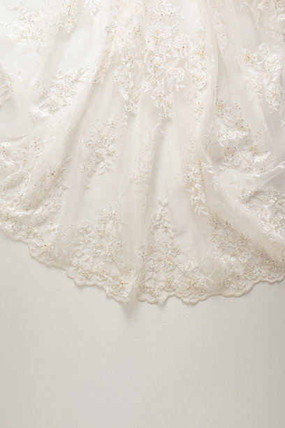 婚纱上的花边或新娘婚纱的一部分。刺绣丰富的米色薄纱。图片下载