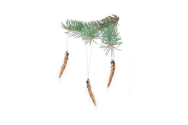 挂在云杉树枝上的圣诞玩具上的麦穗。用小穗做成的圣诞树玩具。危机，饥荒的概念。图片下载